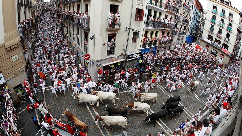 AOP Pamplona härkä Espanja 2