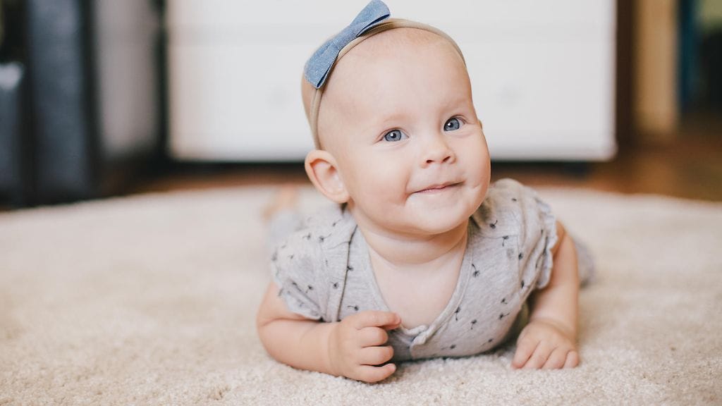 shutterstock_1305606424