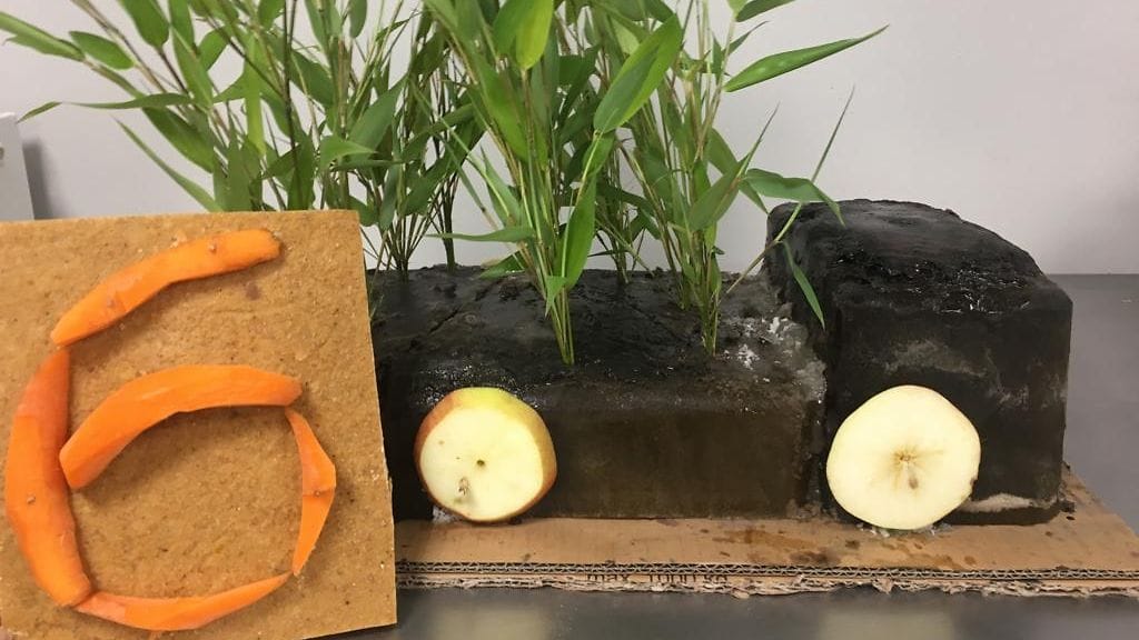 ähtäri pyry panda kakku