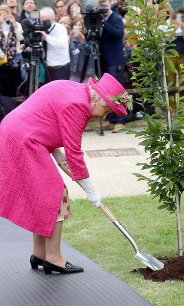 kuningatar ELisabet lapiohommissa