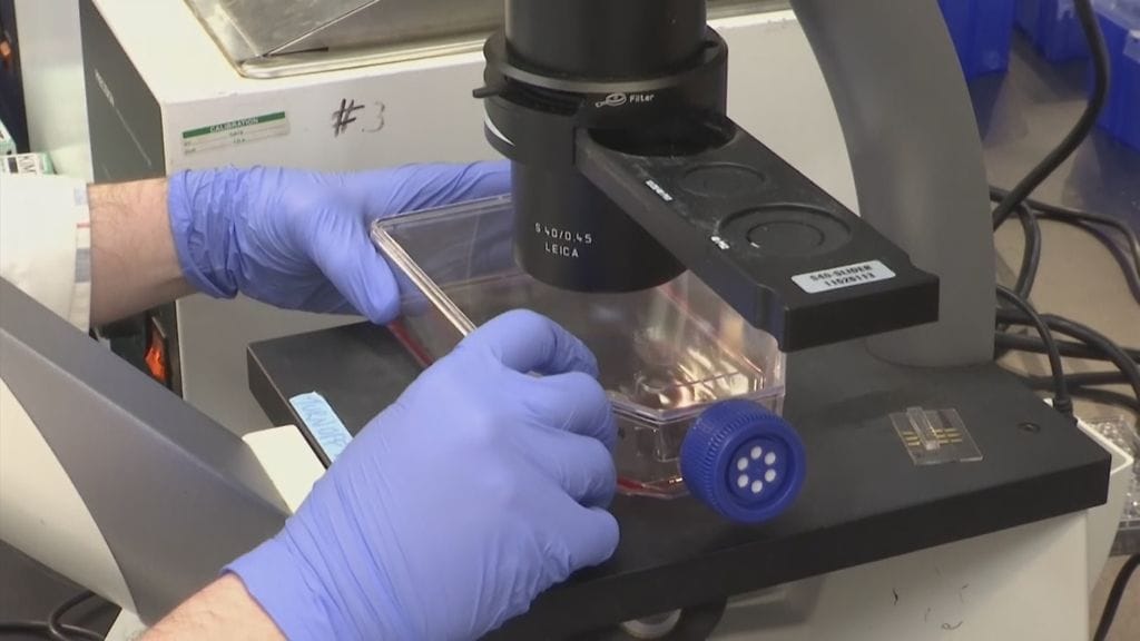 keinoliha, laboratorio