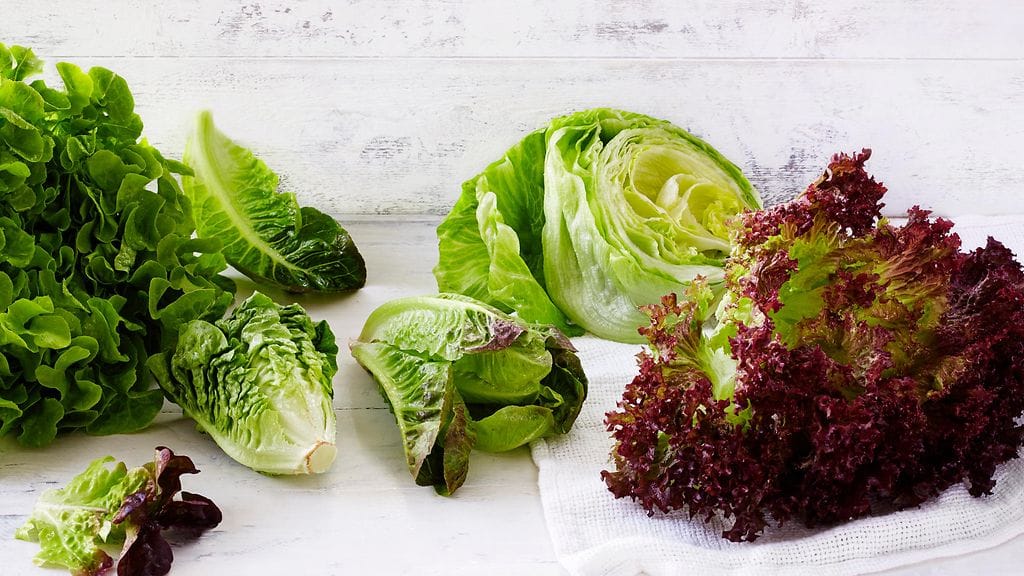 Tuore kotimainen keräsalaatti voittaa buffettien tuontisalaatit.