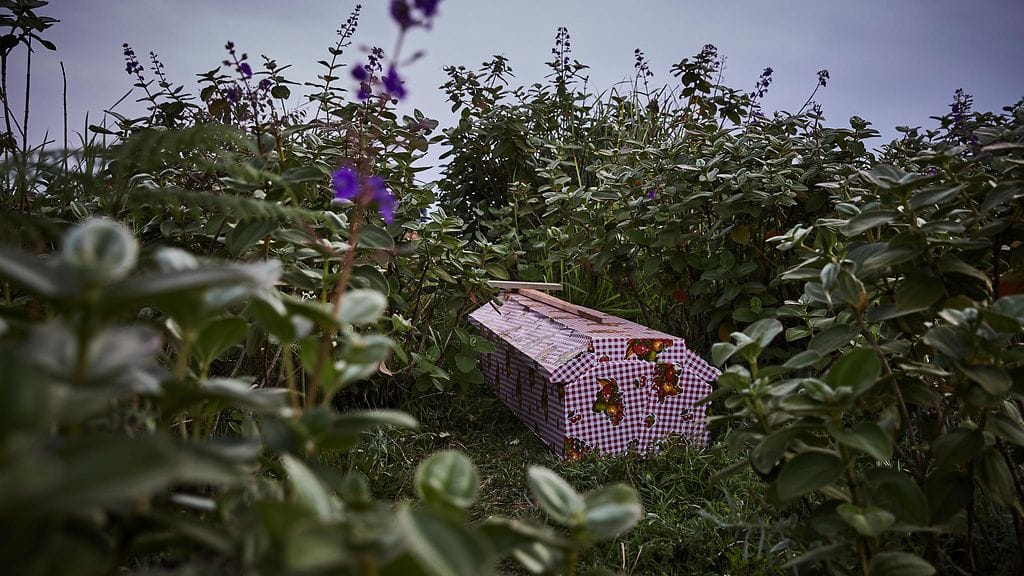 Hauta-arkku kasvillisuuden seassa Pohjois-Kivun alueella, jossa on kuollut yli 1 600 ebolaan.
