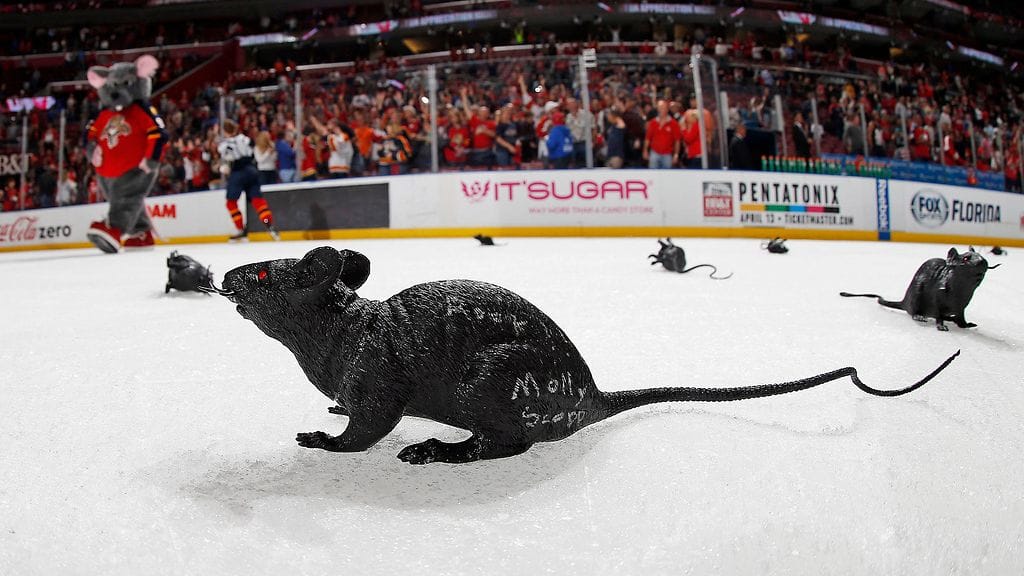 Rotat ja Florida Panthers kuuluvat yhteen.