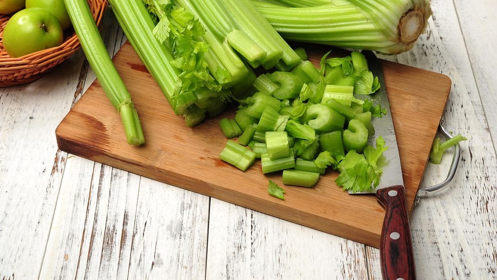 shutterstock_583525012