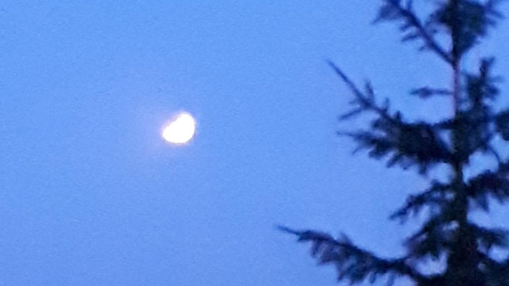 MTV Uutisten lukija taltioi kuunpimennyksen.