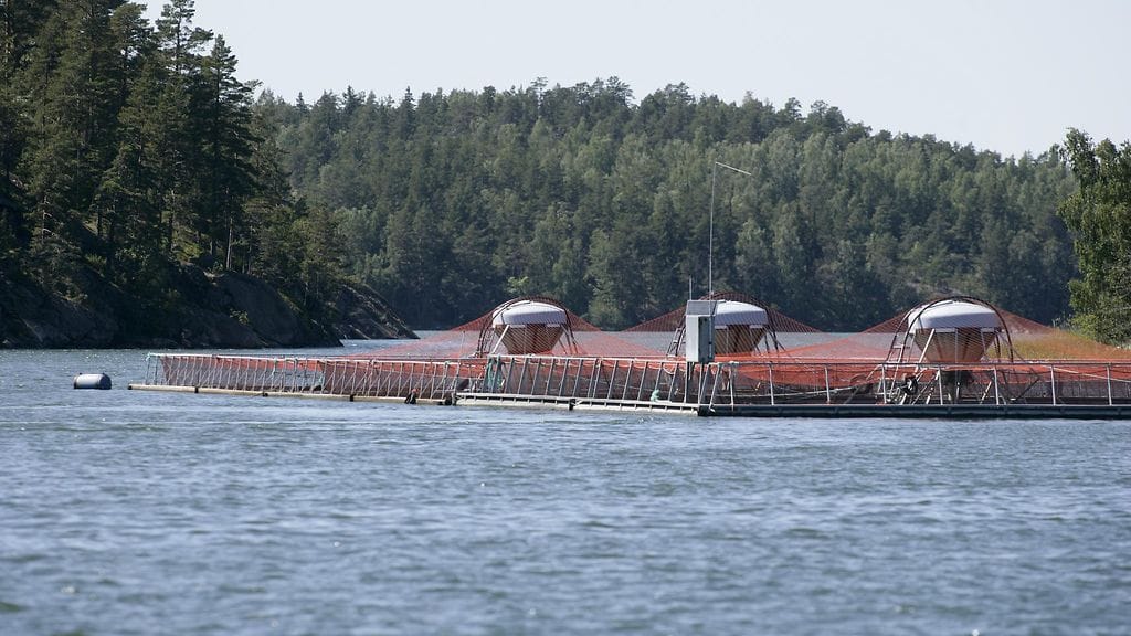 Kuvassa suomalainen kalakasvattamo vuonna 2006.