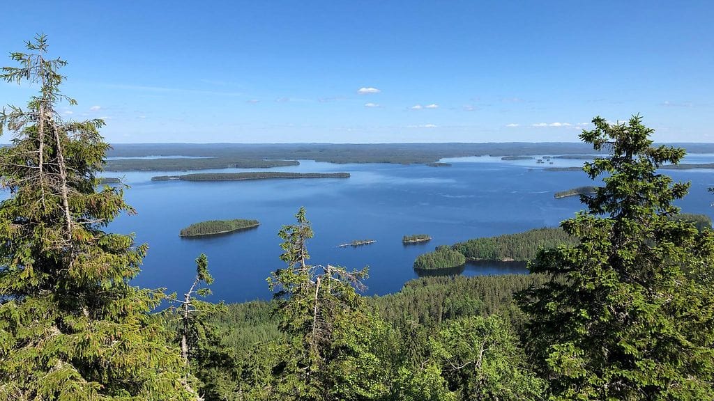 Kuvituskuva Kolin kansallispuistosta.