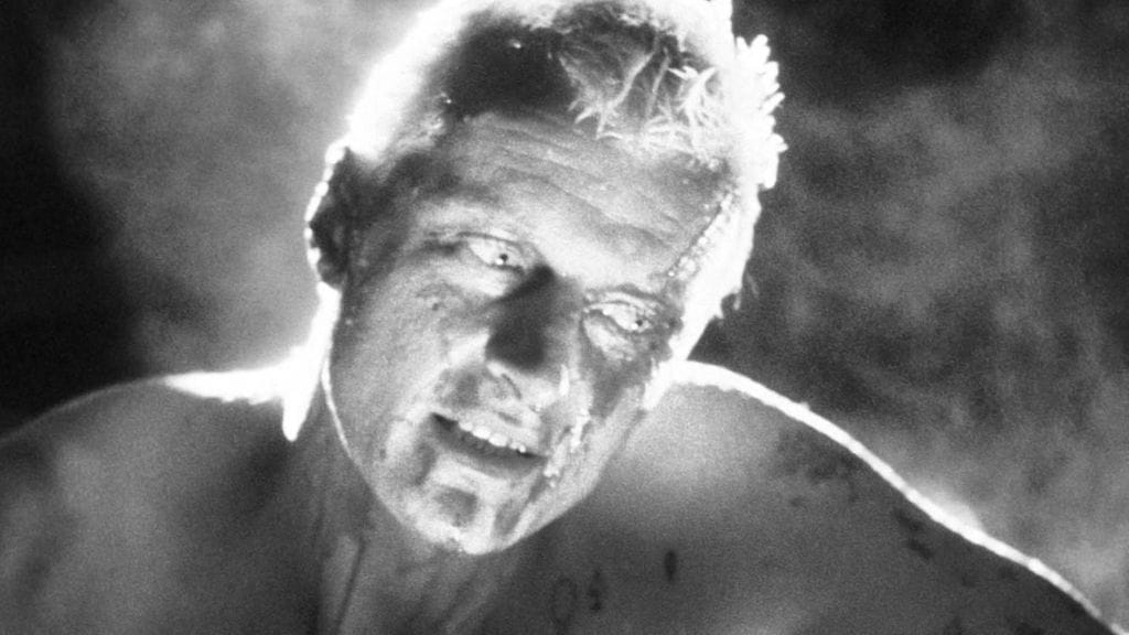 rutger hauer blade runner