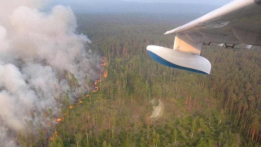 Valtavat maastopalot riehuvat useilla alueilla pitkin Siperiaa ja Venäjän Kaukoitää. Valtiollisen uutistoimiston Tassin mukaan paloalue on yhteensä yli 2,7 miljoonaa hehtaaria ja savu on levinnyt satoihin asutuskeskuksiin.