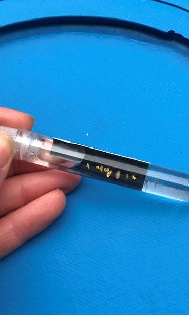 Kullanhuuhdonta 2