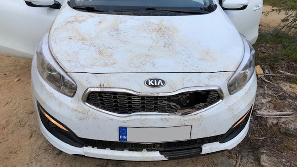 Turistien vuokraama Kia-henkilöauto joutui karhun runtelemaksi.