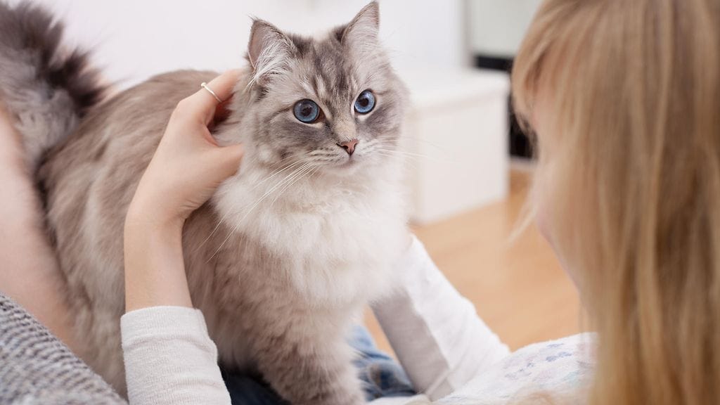 shutterstock_500139712