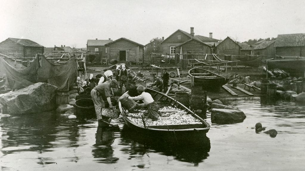 Suursaari kuului Suomelle vielä 1930-luvulla. Kymenlaakson museo on julkaissut saaresta paljon kuvia ajalta, jolloin siellä asui vielä suomalaisia. Kuva: Kymenlaakson museo.
