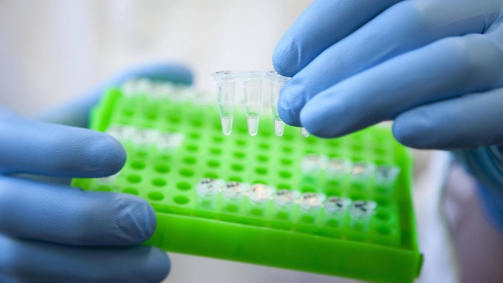 Yhdysvaltain viranomaiset suunnittelevat dna-näytteen ottamista kaikilta laittomasti maahan tulleilta. Kuvituskuva.