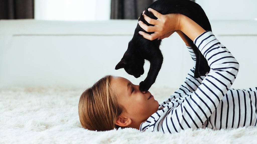 shutterstock_478531249