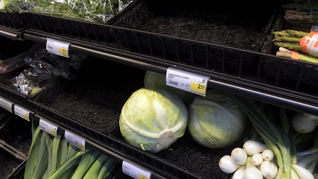 Tuholaiset ja sääolosuhteet ovat verottaneet satoa ja pelloilta tulee kauppoihin niukasti kaaleja.