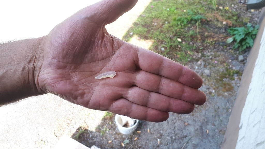 Vita D'or Pertti Lindeman 2