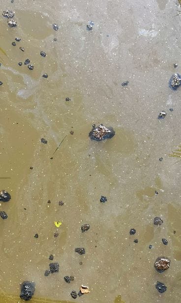 Suomenojan lintulampi3