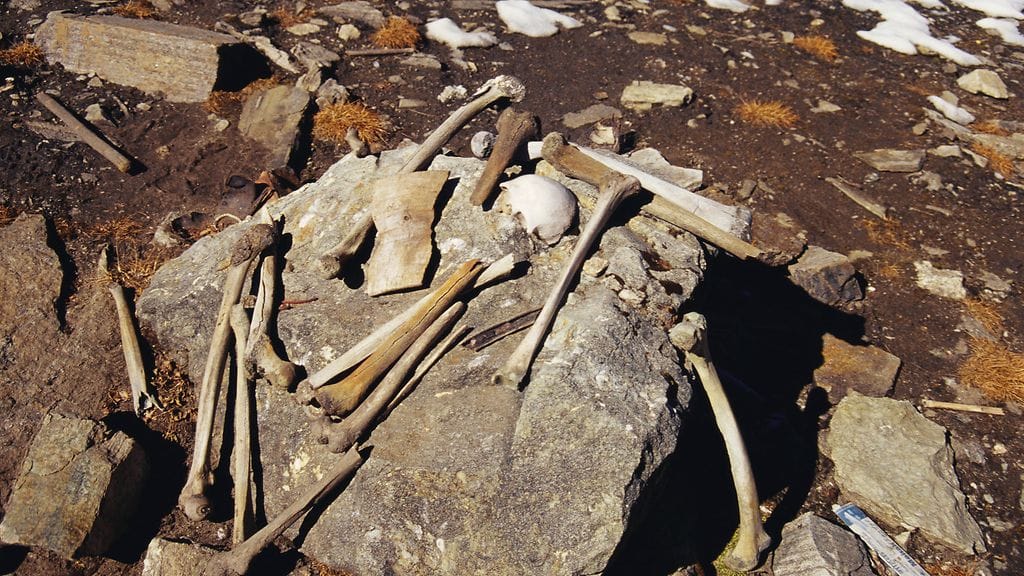 Roopkund Luurankojärvi, Himalaja