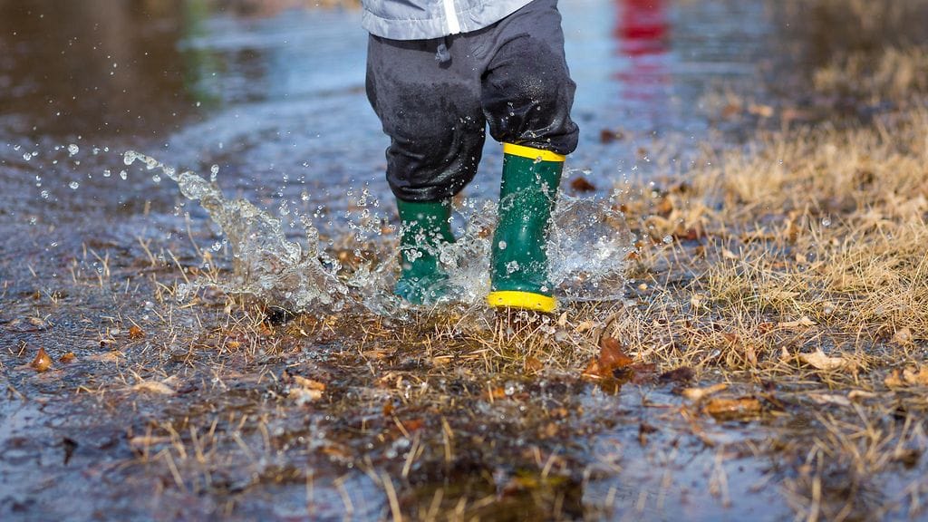 THL:n erikoistutkija Karvosen mukaan kosketusta luontoon kannattaisi lisätä mikrobialtistumisen parantamiseksi.