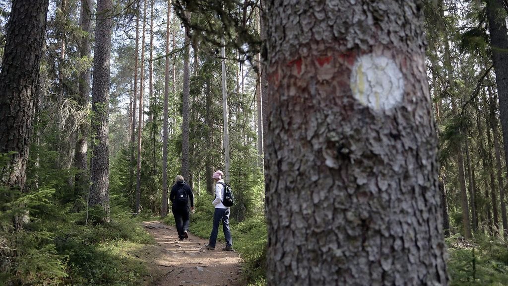 LK, kansallispuisto, luonnonpuisto, metsä, Seitseminen
