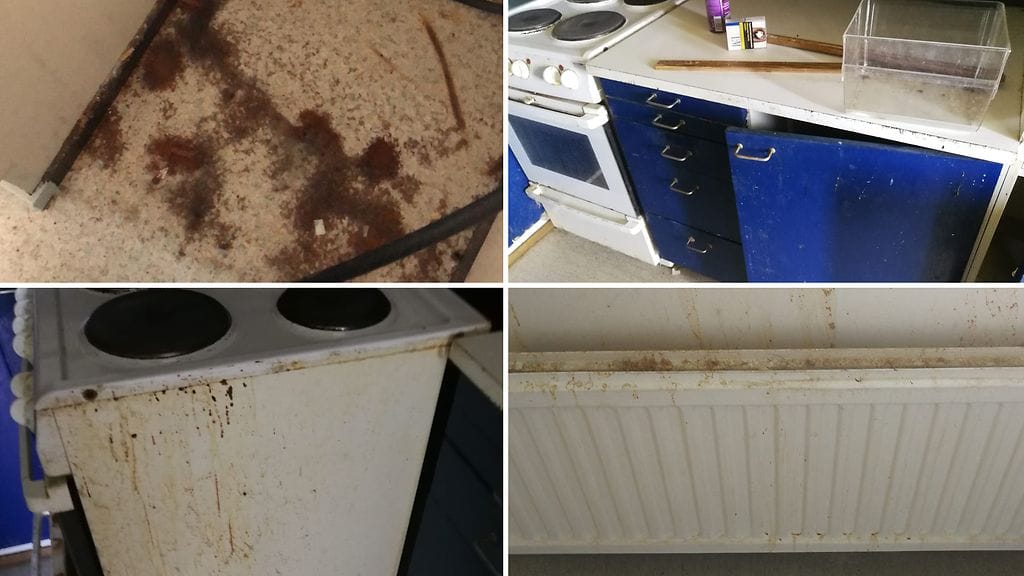 kodinsiivous 2, Jari Kuopio