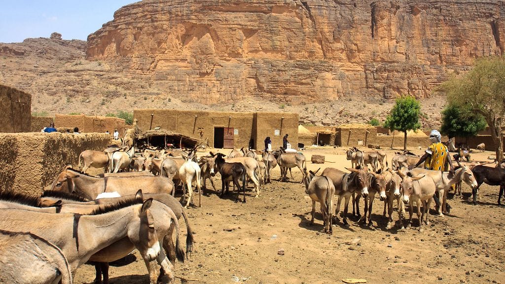 Vastaavat onnettomuudet ovat yleisiä Malissa, sillä taloja rakennetaan usein ilman rakennuslupia.