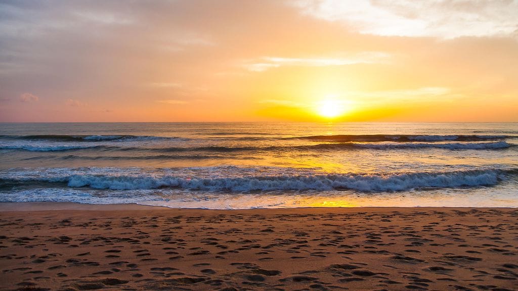 Chris Shaw'n viimeinen toive täyttyi.