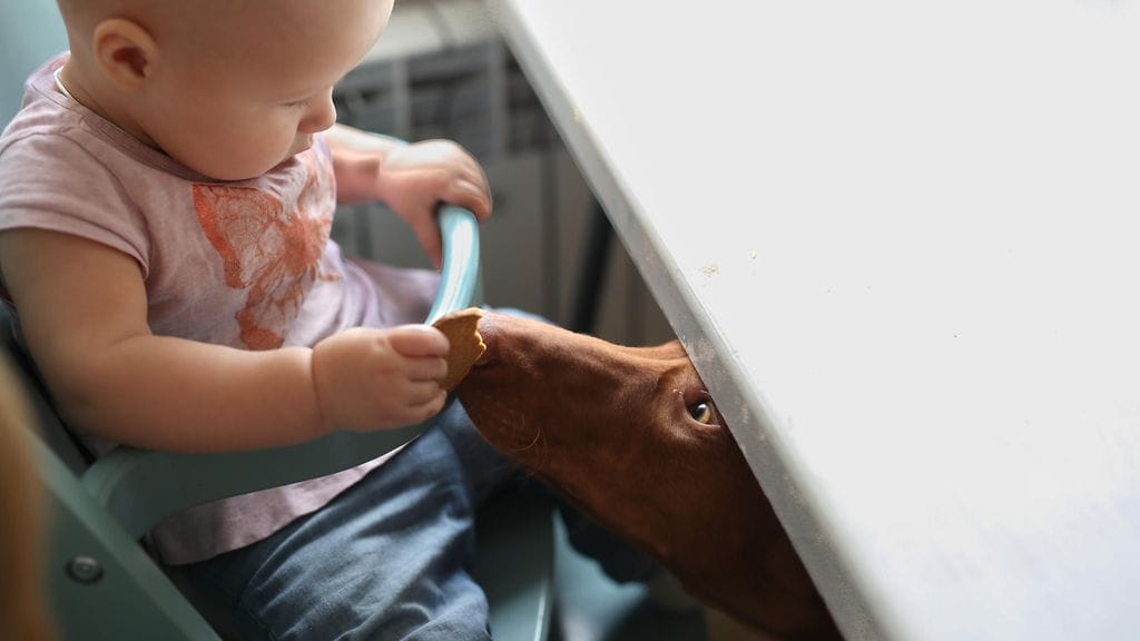 shutterstock_1333357646