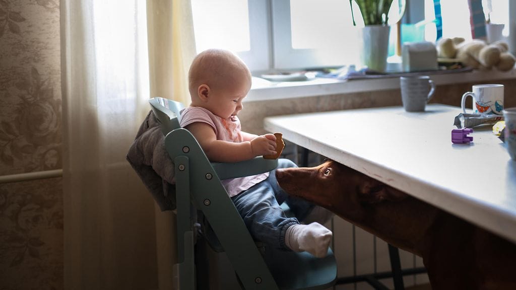 Channel 4 -kanavan uutuusohjelma on nostattanut kohun.