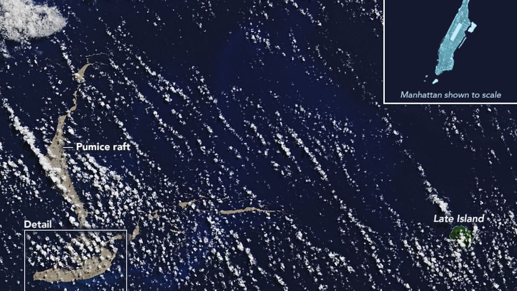 hohkakivilautta-tonga-0509