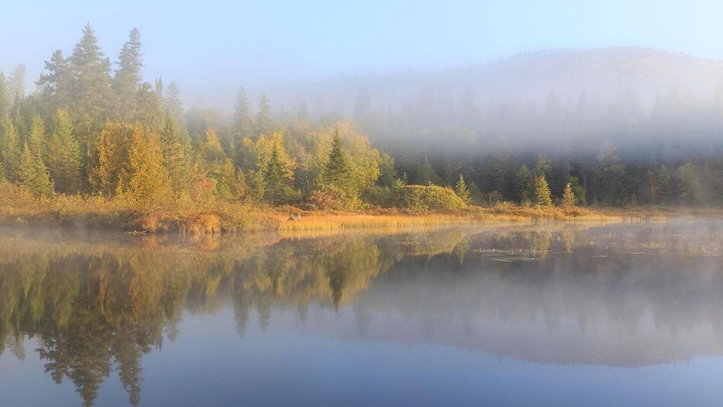 Kuvituskuva. Auto oli maannut järven pohjassa miltei 27 vuotta, ennen kuin se ensimmäisen kerran huomattiin.