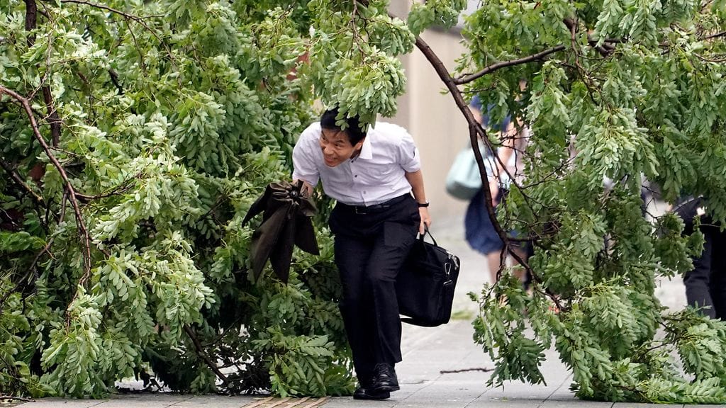 Hirmumyrsky on muun muassa kaatanut puita Japanin pääkaupungissa Tokiossa.