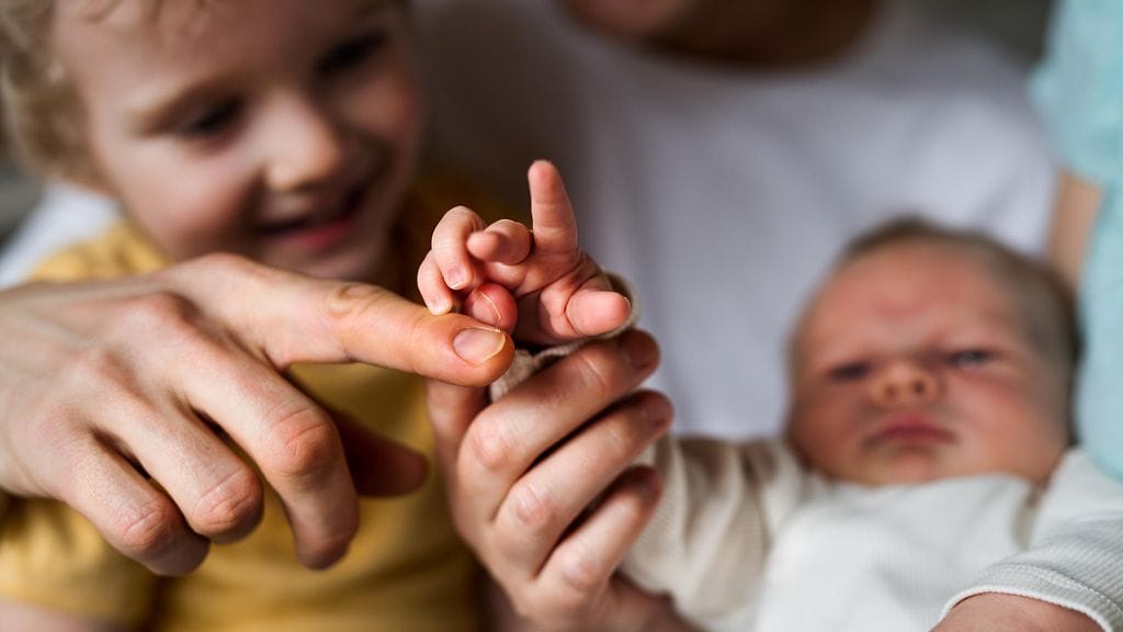 shutterstock_1488265373