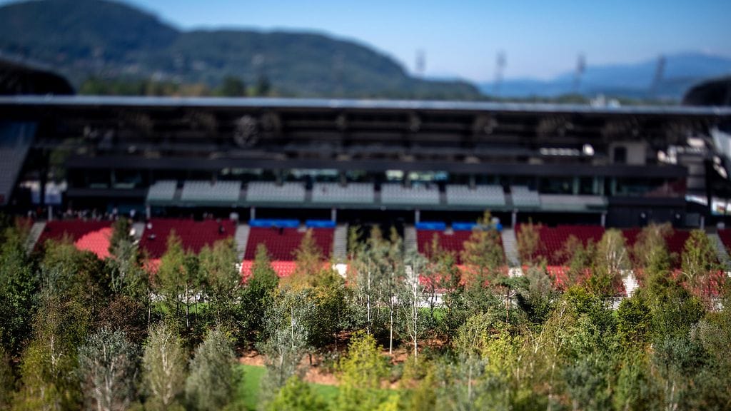 Installaatiotaideteos koostuu kaikkiaan 300 puusta.