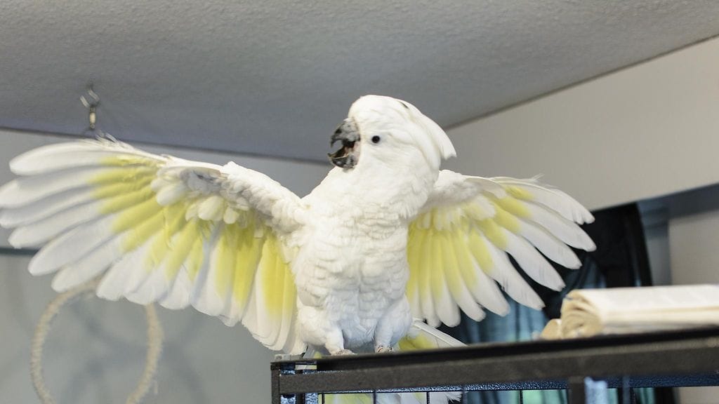 IMG_20190702_201430_961