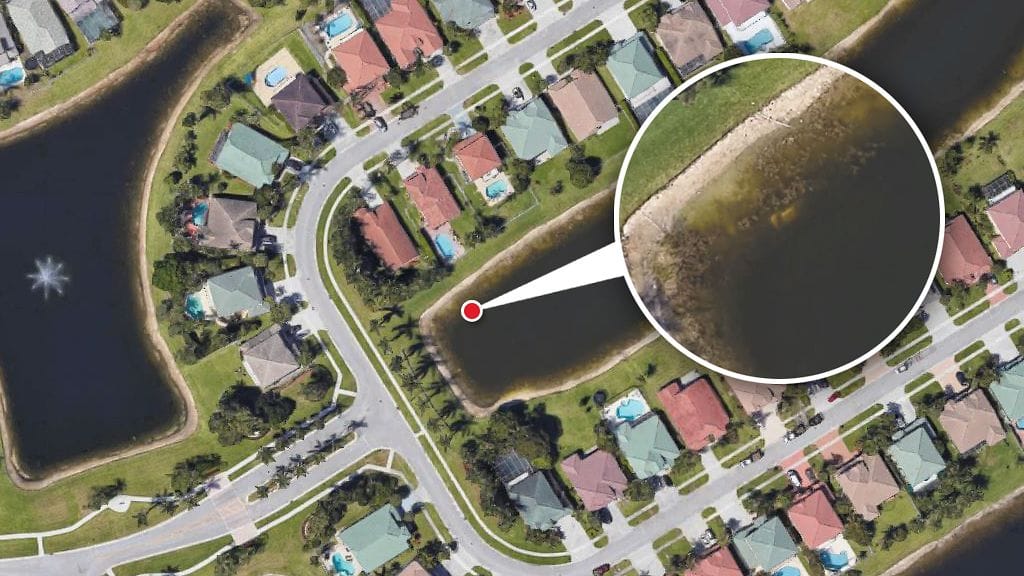 Palm Beachin poliisin mukaan Moldt oli menettänyt autonsa hallinnan ja suistunut lampeen kohtalokkain seurauksin.