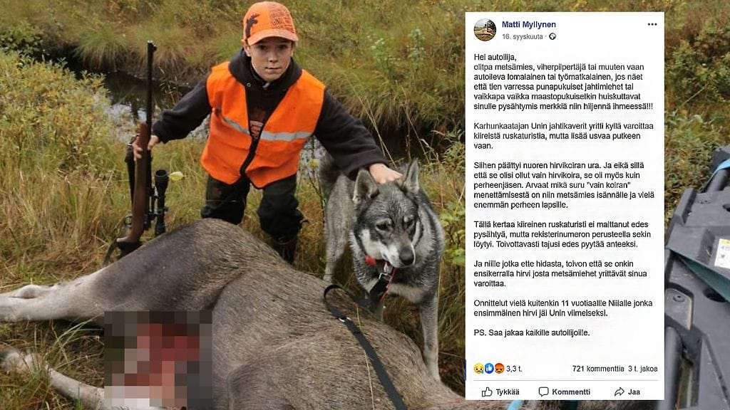 11-vuotiaan Niilan ensimmäinen kaadettu hirvi jäi hirvikoira Unin viimeiseksi.