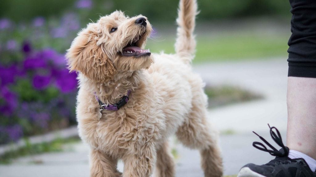 Kalee McGee paljasti TikTokissa huvittavan mokansa. Kuvituskuva.
