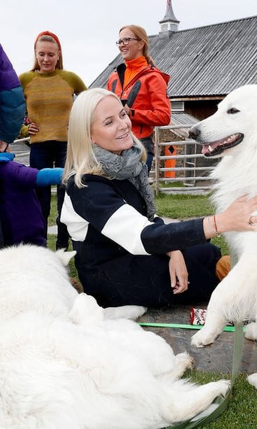 Mette-Marit silittää koiria