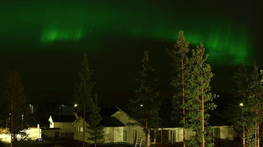 revontulet Ville Palokoski, seinäjoki