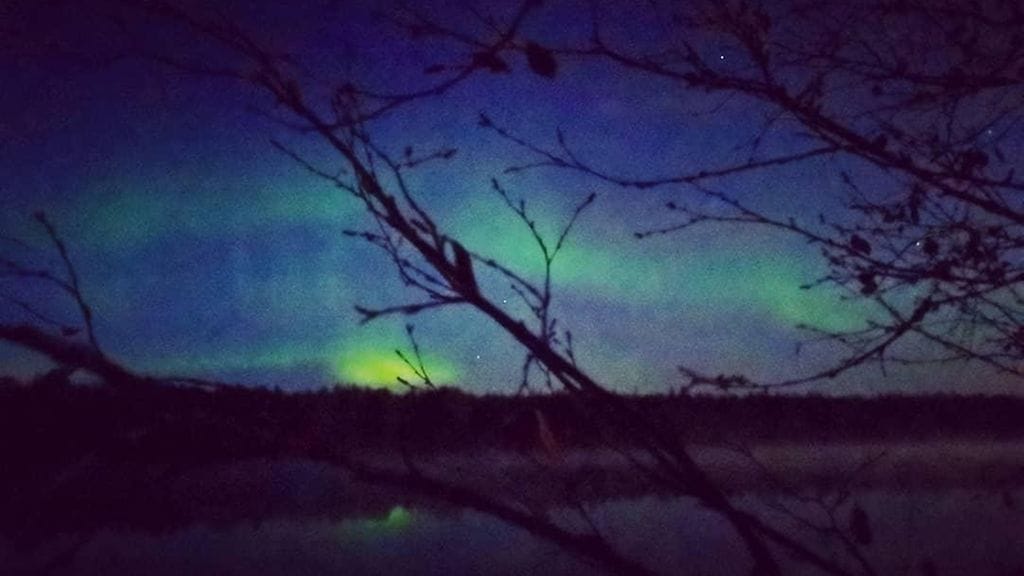 Sonja Etelävuori, PyhäLuoston matkailualue