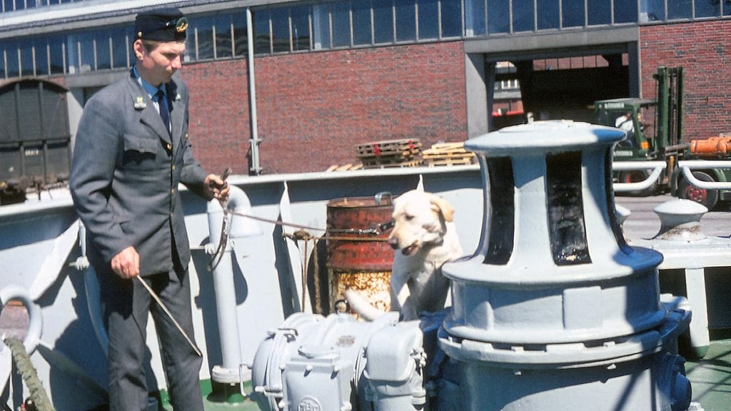 huumekoira Eri 1970-luvulla