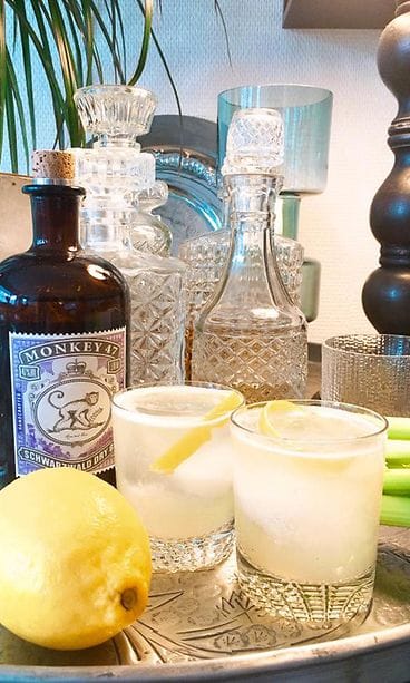 selleri-tonic