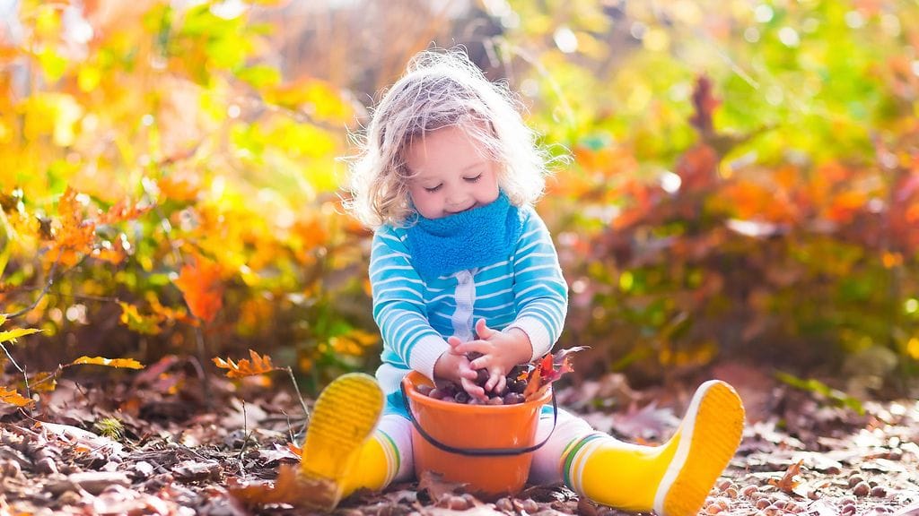 shutterstock_300577046