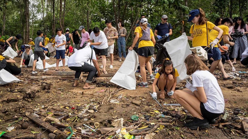 Lilly_laaja_lehtikuva