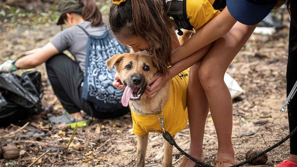 lilly_jakoira_lehtikuva