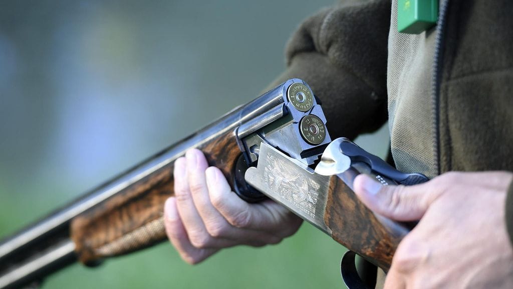 Metsähanhen metsästyskausi on meneillään rajatuilla alueilla. Kuvituskuva.