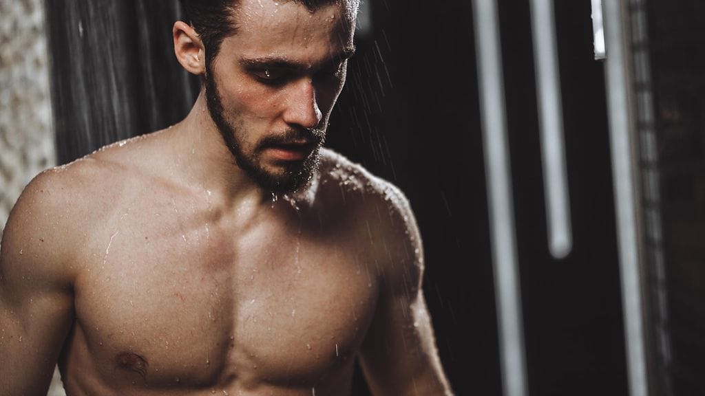 shutterstock_1104416078